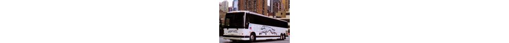 142x88Greyhound.jpg