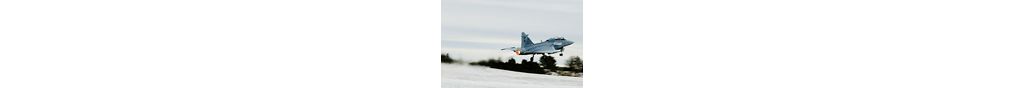 142x88_gripen_release_080131.jpg