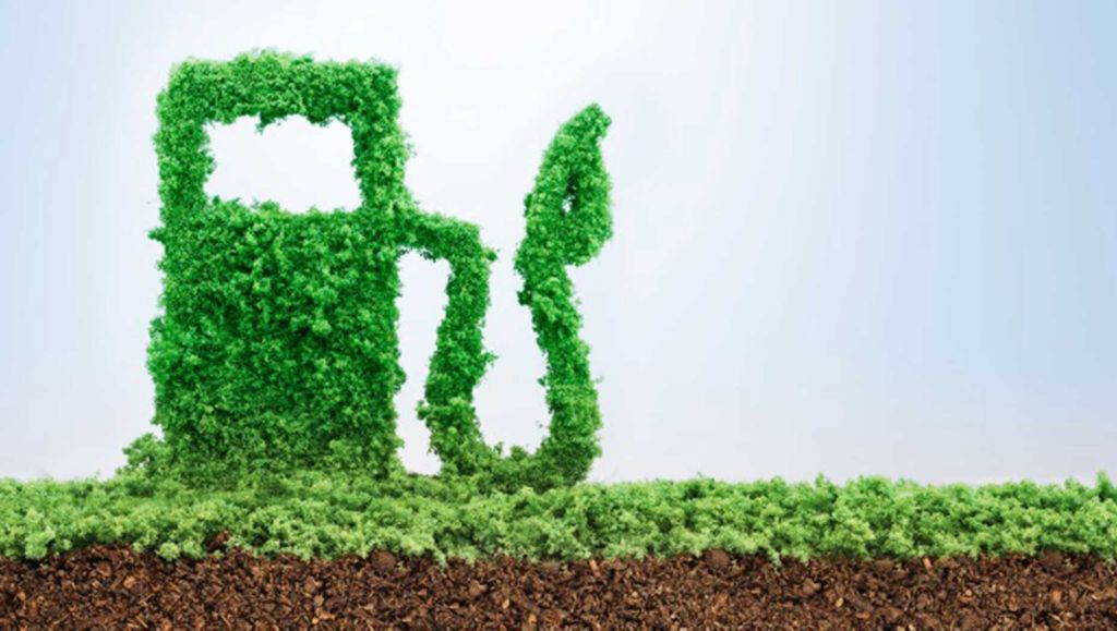 Wat is biodiesel en wat zijn de voor- en nadelen?