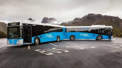 Cradle Mountain