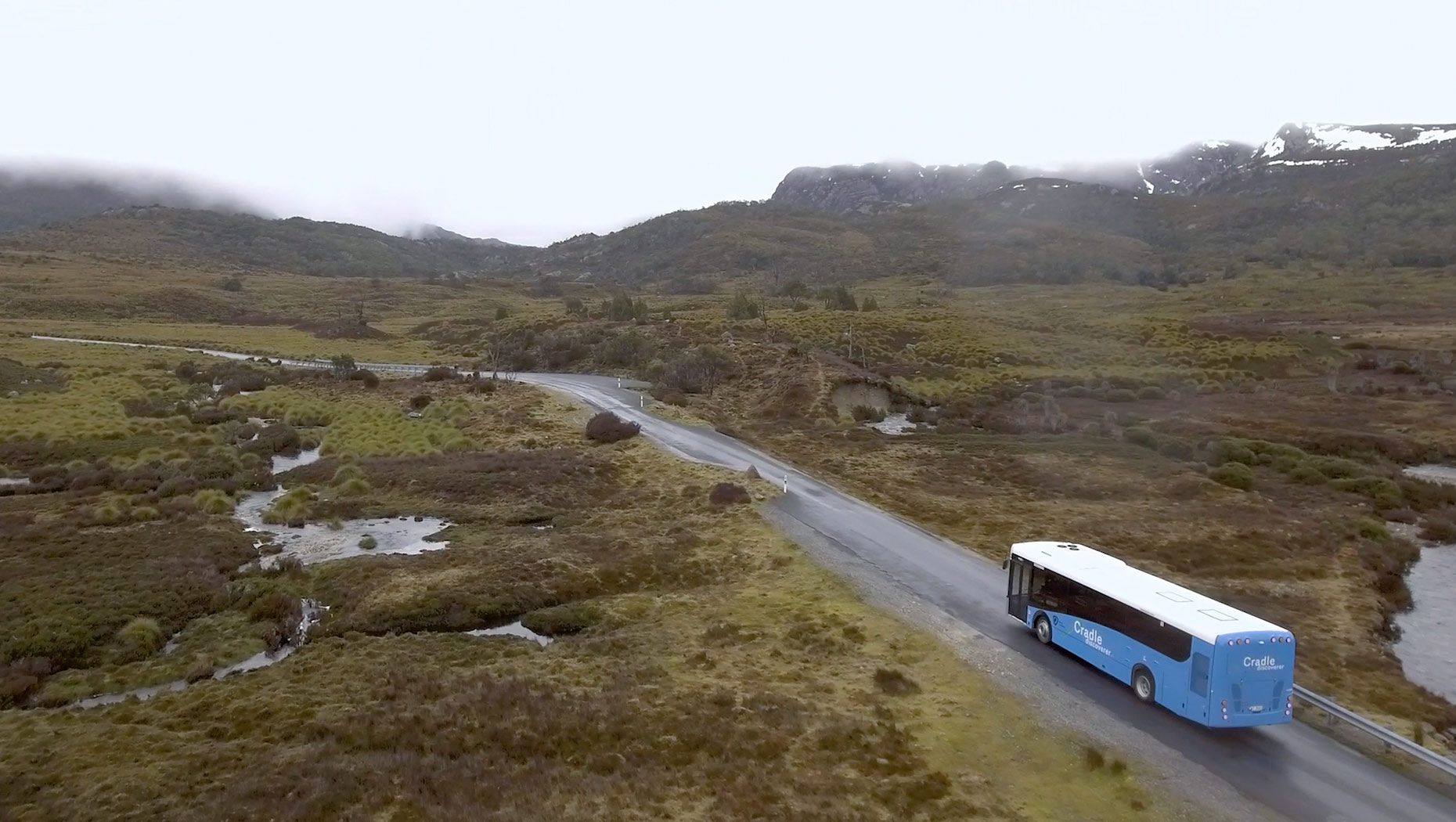 Tasmania park