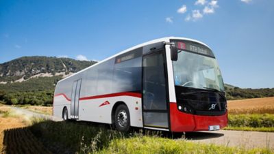 The order for 373 chassis is the largest ever purchase of Euro VI city buses in the Middle East Region.
