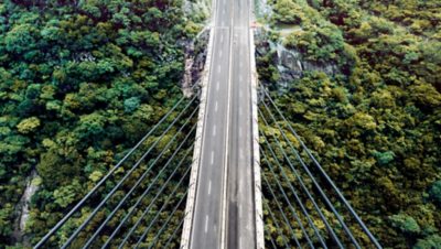 Een brug met daaronder bos