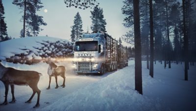 Volvo FH ja porot