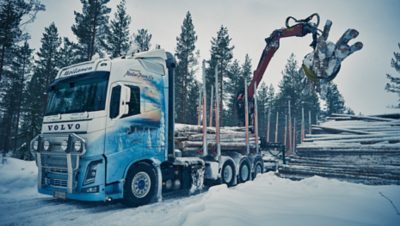 Volvo FH16 lastaa puuta