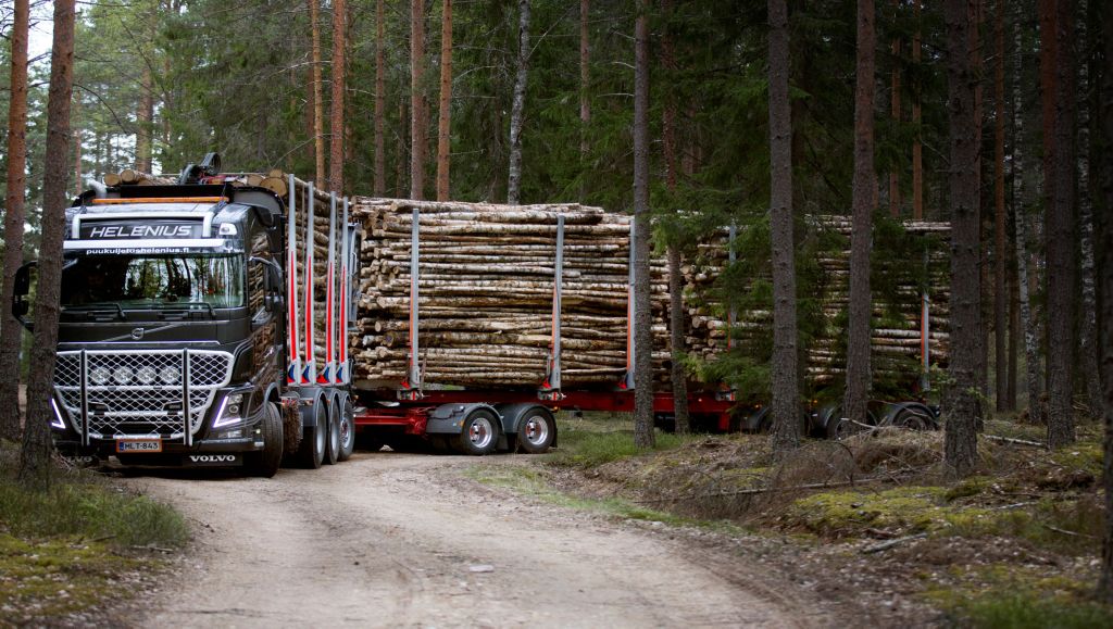 Volvo FH16 -puuauto