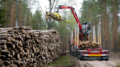 Volvo FH16 -puuauto