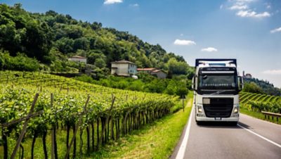 Sartori Trasporti operates in Italy and primarily drives between the province of Vicenza