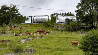 Kalkbilen Volvo FH kjører i vakre omgivelser. Foto. 
