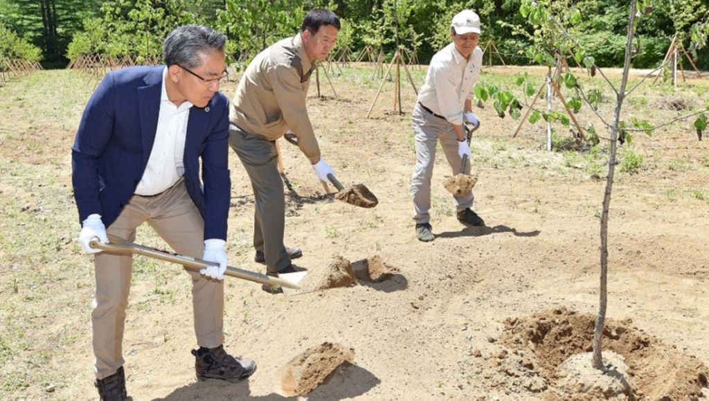 Planting trees in Korea and increasing traffic safety in Peru 