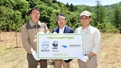 Planting trees in Korea