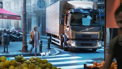 Bronze colored Volvo Group truck waiting at a crosswalk for a person with a dog on a leash to cross it