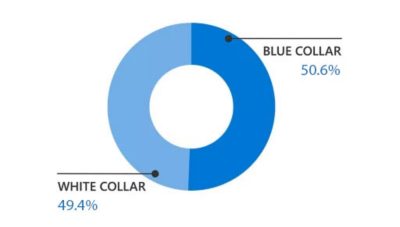 Distribution of work roles