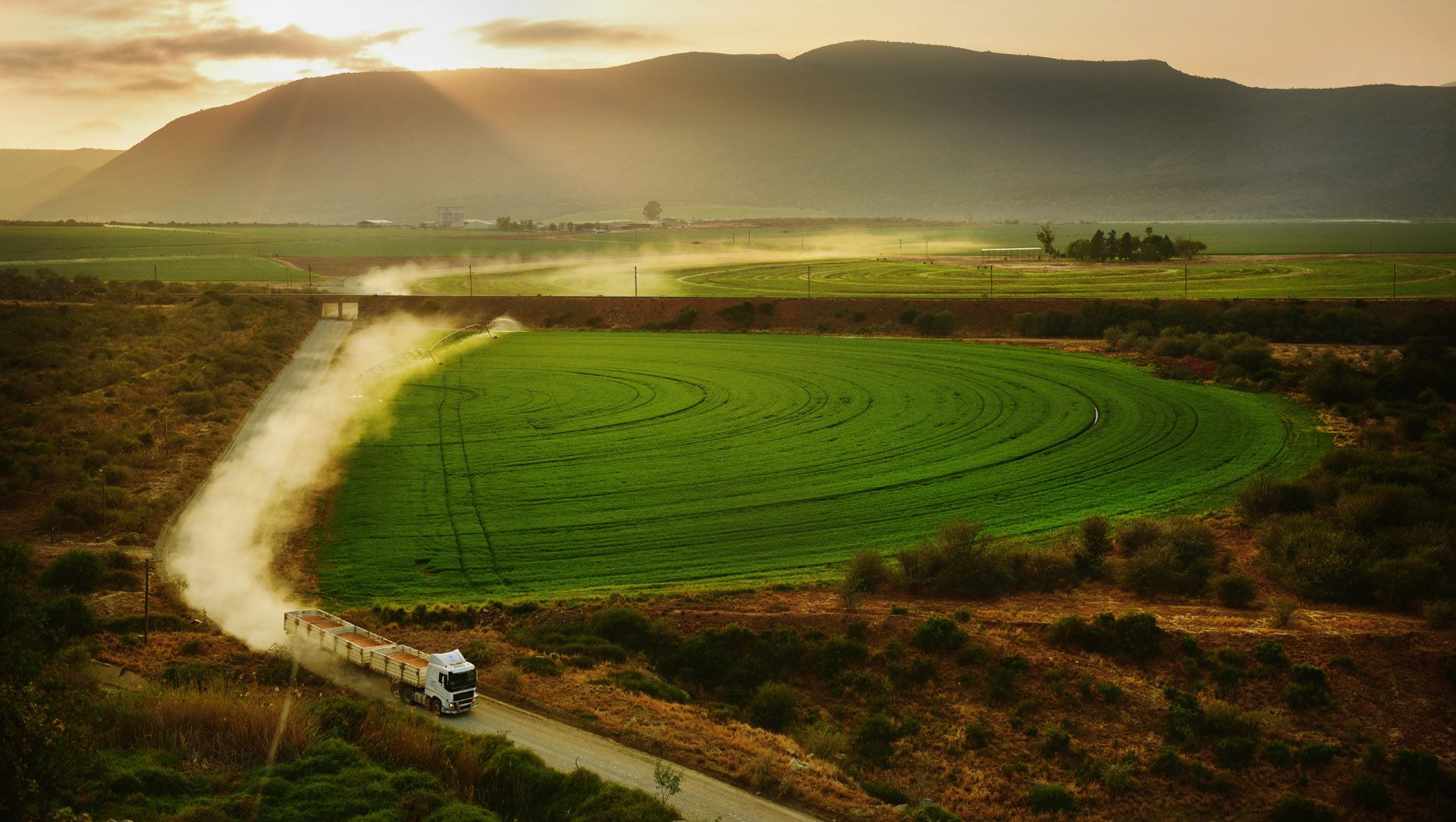 A Volvo FH loaded with maize leaves a trail of dust as it drives along a road at sunrise