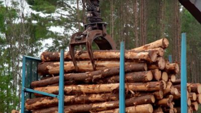 Los productos y servicios a medida de Volvo logran el menor costo de operación