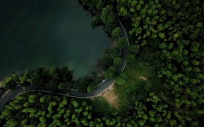 Swedish road