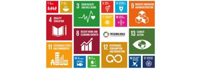 Duurzame ontwikkelingsdoelen van de VN