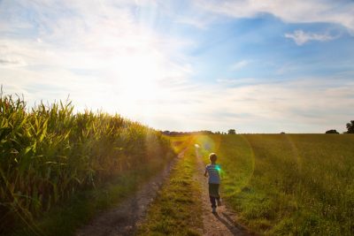 Child in a cornfield