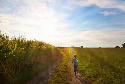 Child in a cornfield