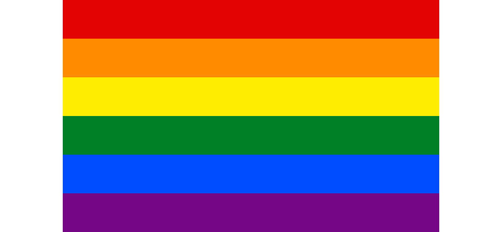 original gay flag 8 color