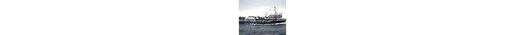 Fishing-vessel-with-D65_thu.jpg