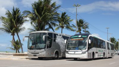 Seguro para Ônibus 