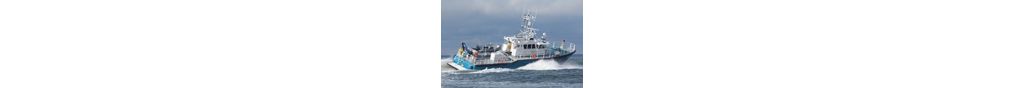 Swedish_coast_guard_142x88.jpg