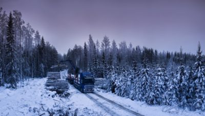 Boomstammen laden in een Fins bos.