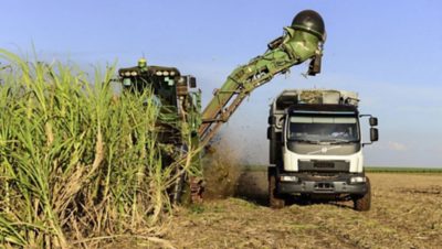 Sugar cane harvesting