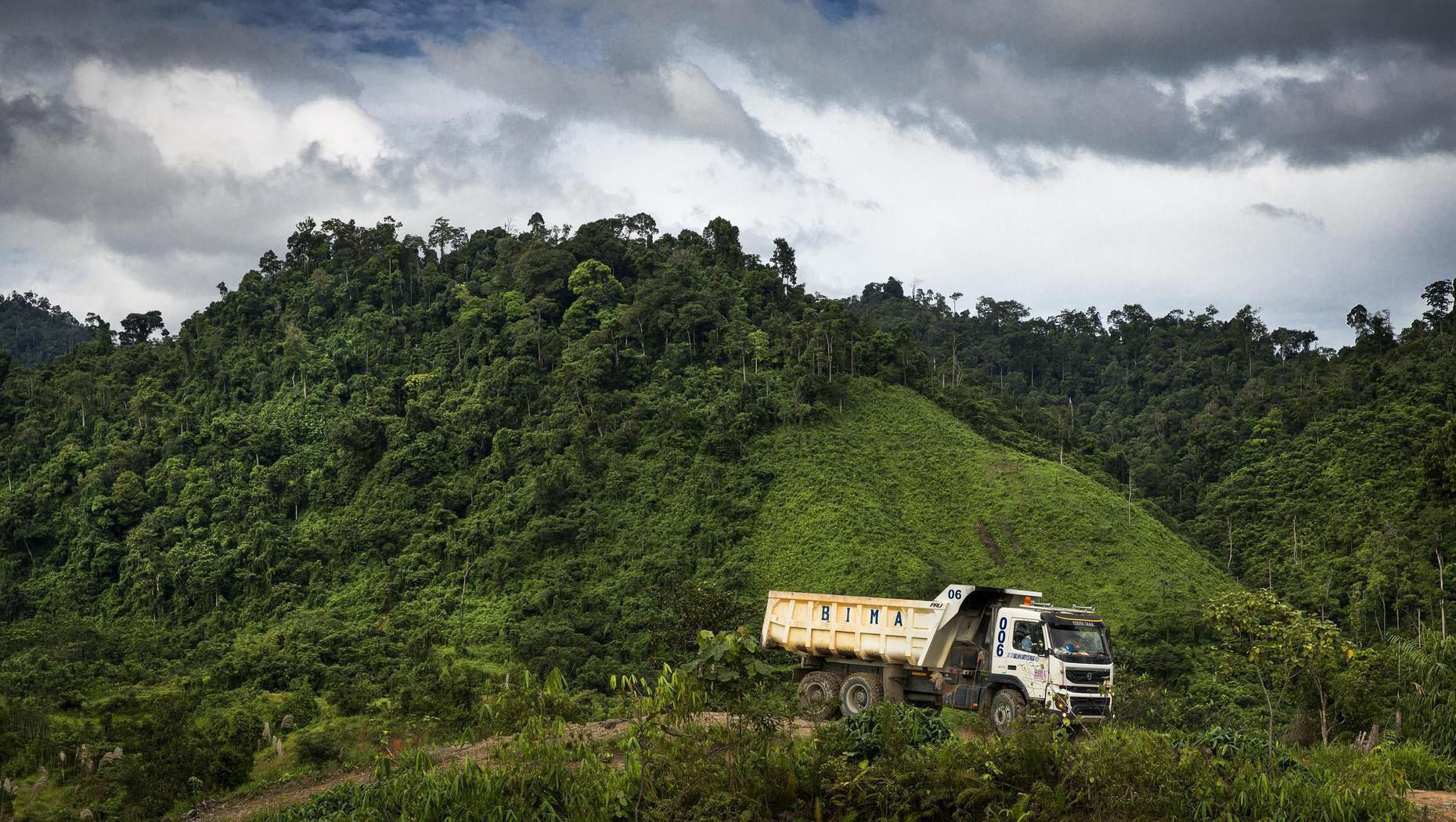 Volvo FMX desplazándose a través de la selva de Borneo.