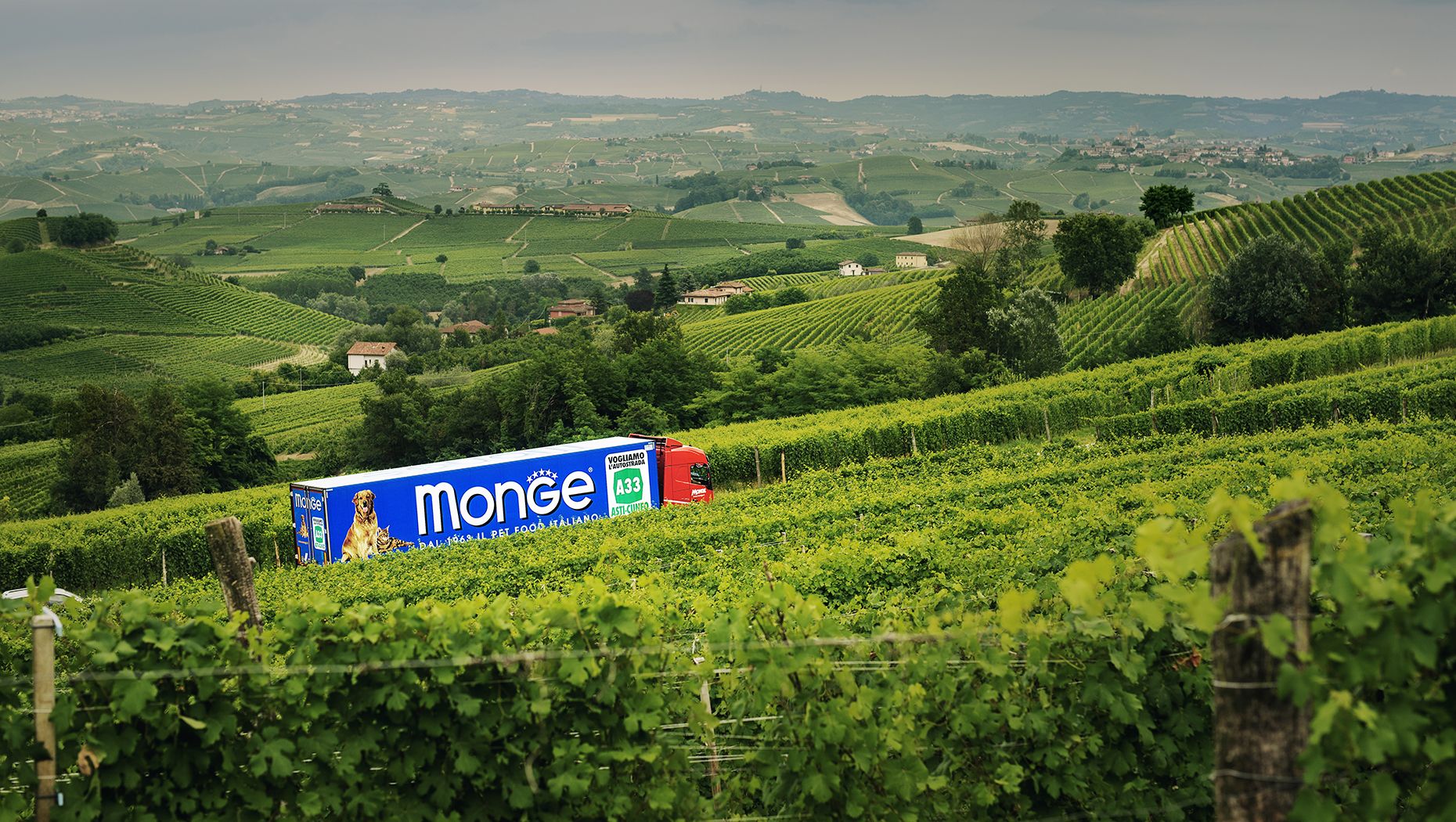 Viñedos en el norte de Italia.