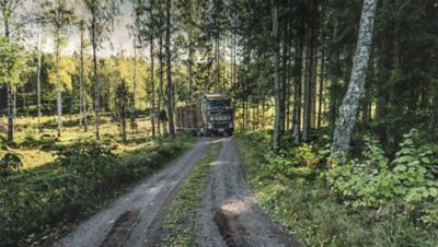 30 años de conducción de camiones de 64 toneladas a través de sinuosos caminos forestales, han hecho que Bert &quot;Knatte&quot; Johansson esté altamente capacitado para conducir con precisión.