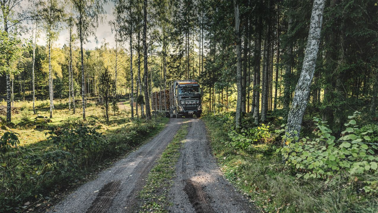 Transporte de madera en Suecia.