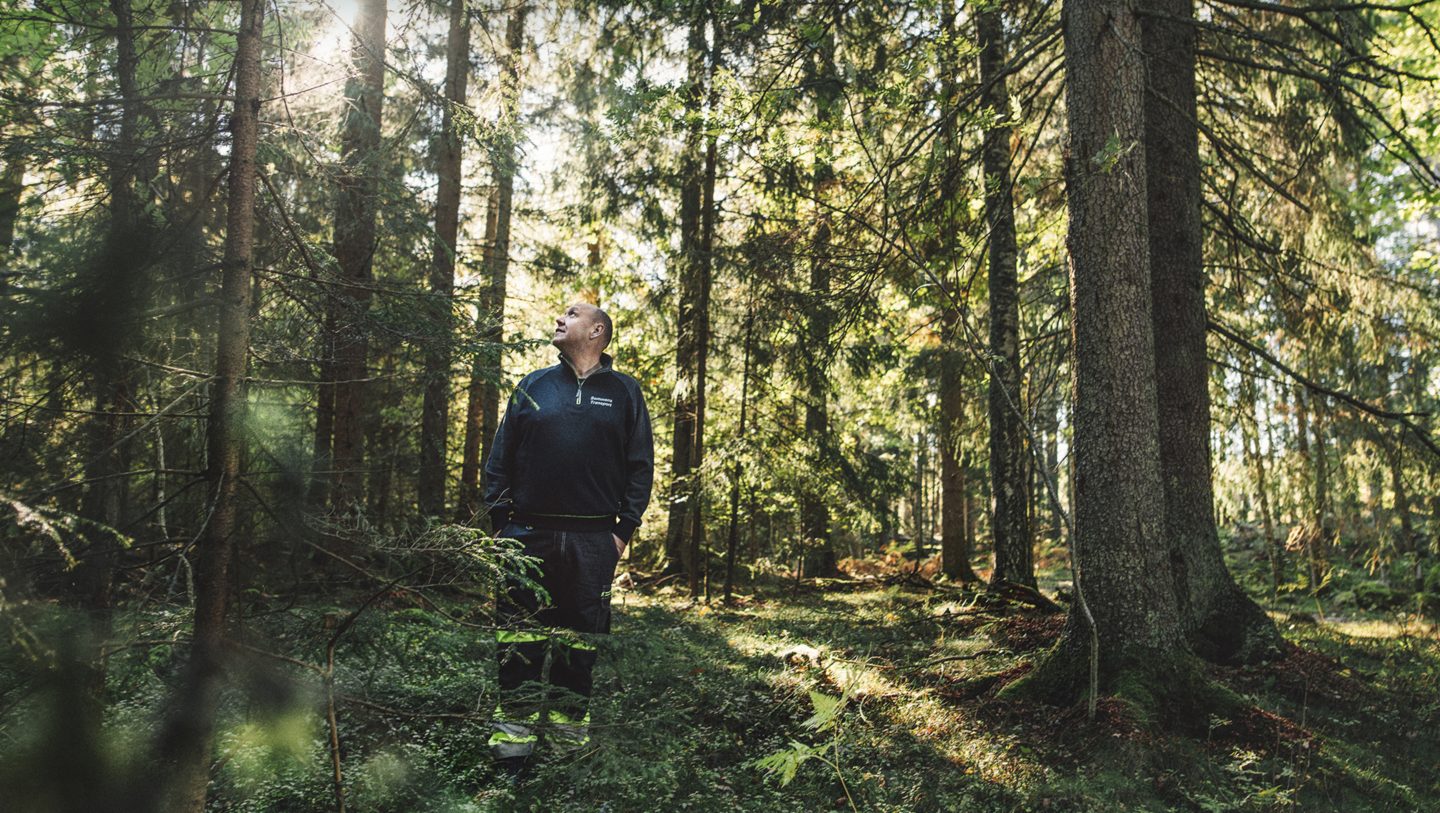 Bert Johansson na floresta