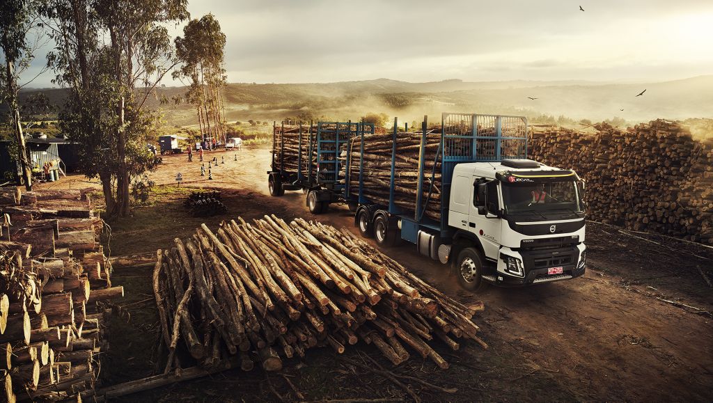 Loading eucalyptus logs