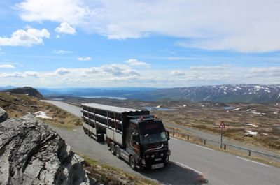 Volvo lastebil med utsikt over fjellheimen. Sommerkonkurranse Volmax. Foto: Alf Johan Nilsen