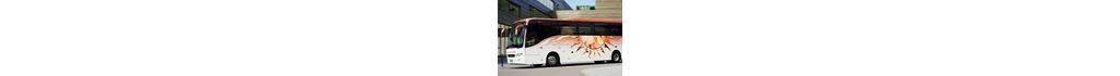 Volvo9700_Germany_2007_114x70.jpg