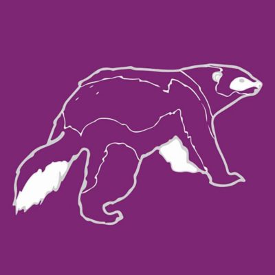 Purple, white and grey illustration of a wolverine