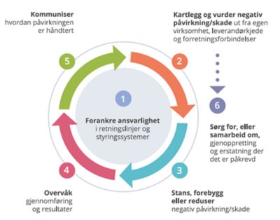 Åpenhetsloven