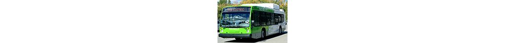 bus_142x88.jpg