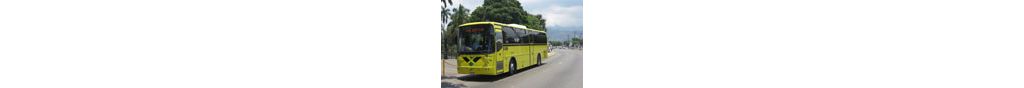 buses_jamaica_142x88.jpg