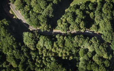 Vrachtwagen die door het bos rijdt