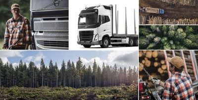 Volvo Pro Wood