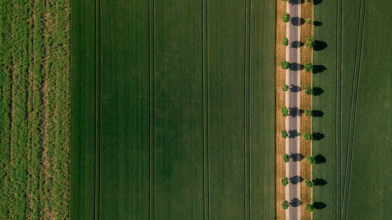 Landwirtschaft