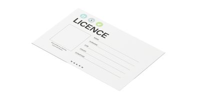 Fun Driver's Licence
