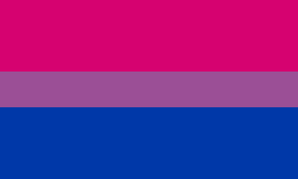 pink blue gay flag