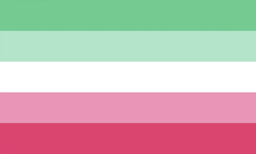 pink and black gay flag