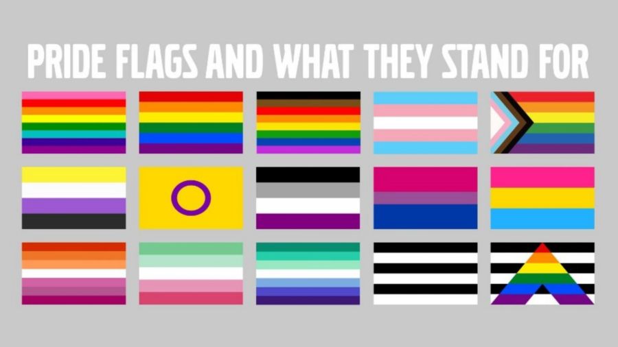 QUIZ: Can you name all these LGBTQ+ flags? - PopBuzz