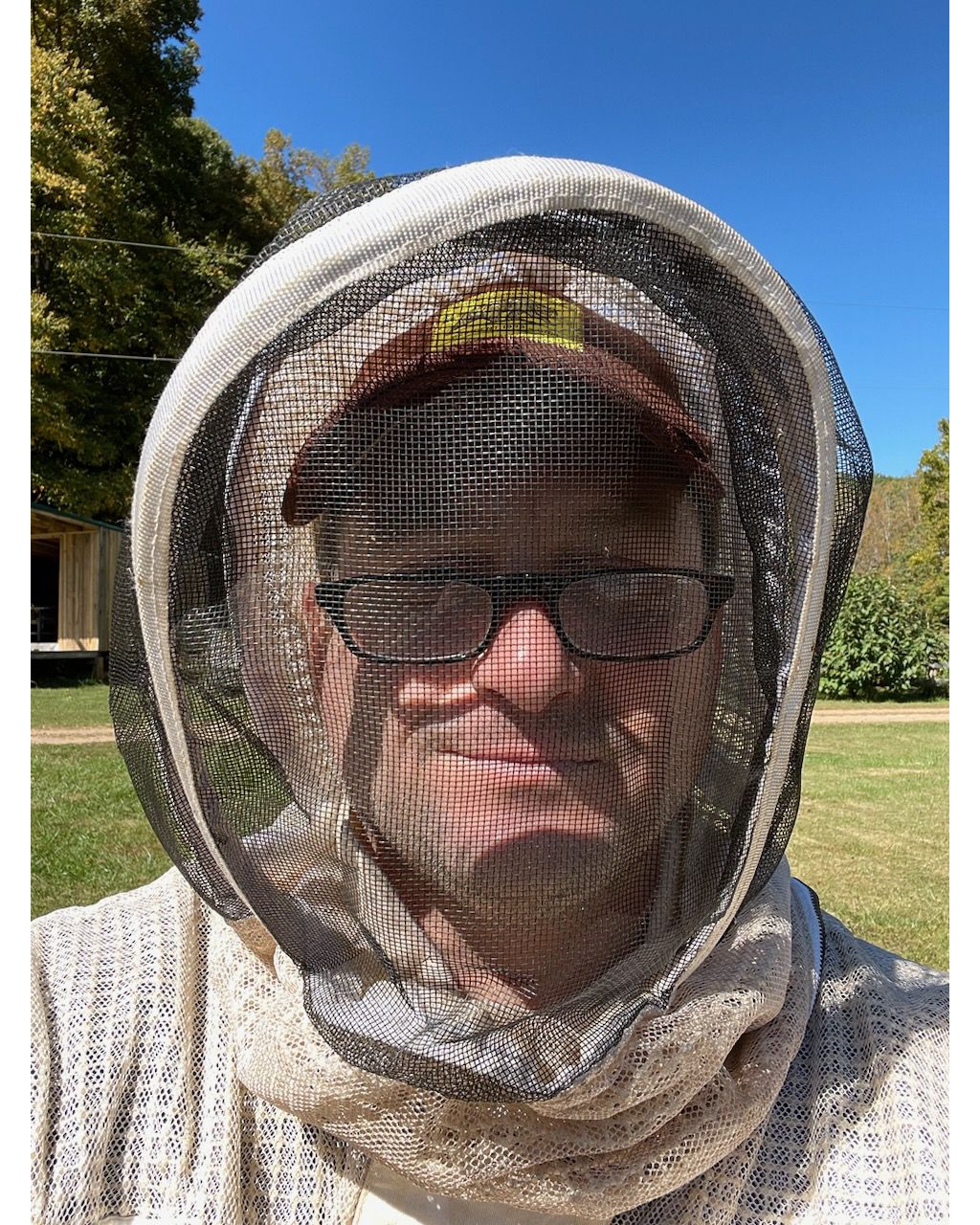How Beekeeping Can Make Work-life Balance Sweeter