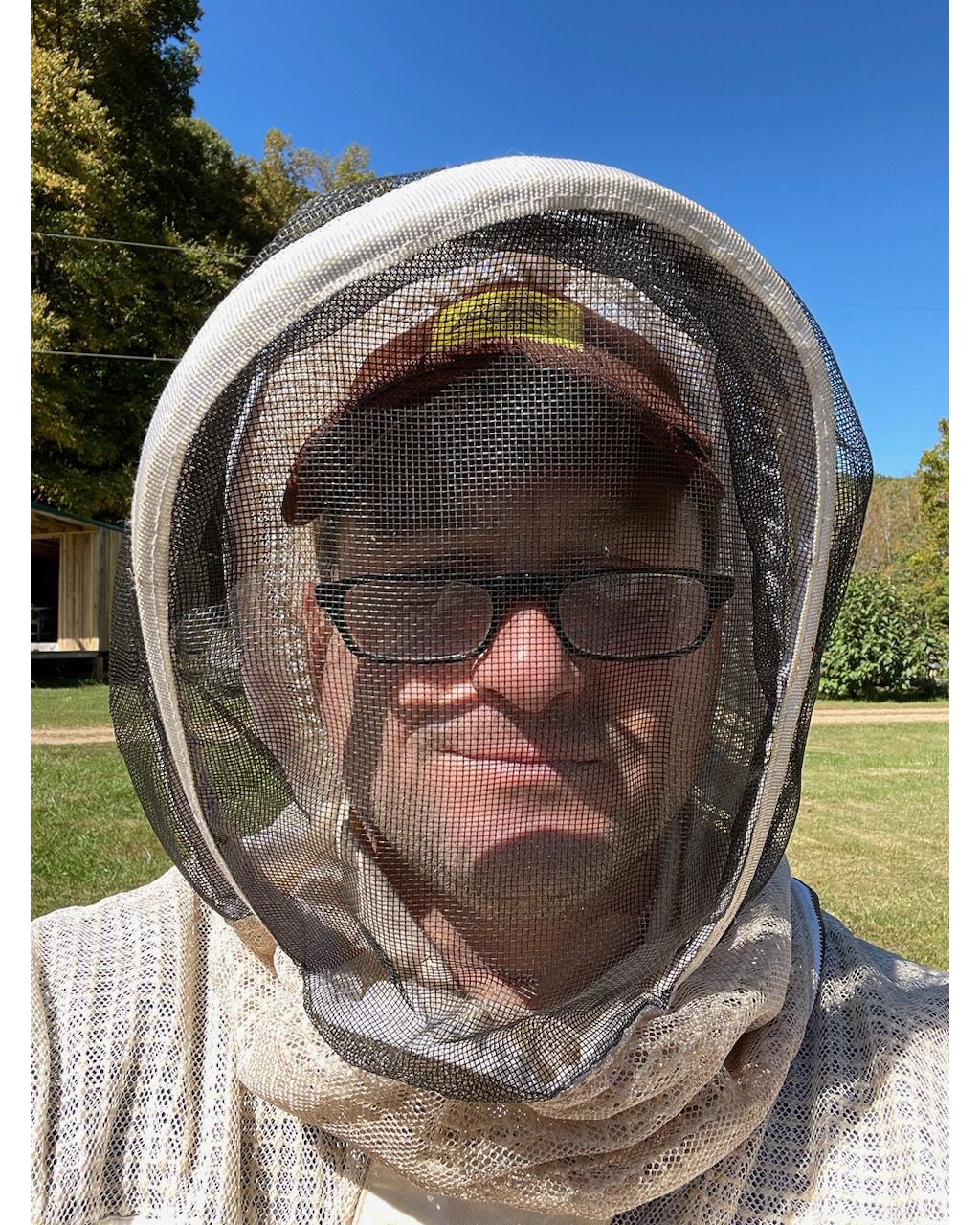 How Beekeeping Can Make Work-life Balance Sweeter